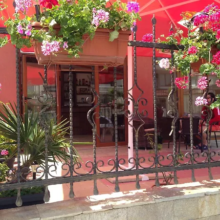 Niki House בית הארחה *